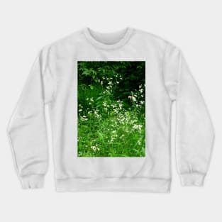 6337 Study 6 Crewneck Sweatshirt